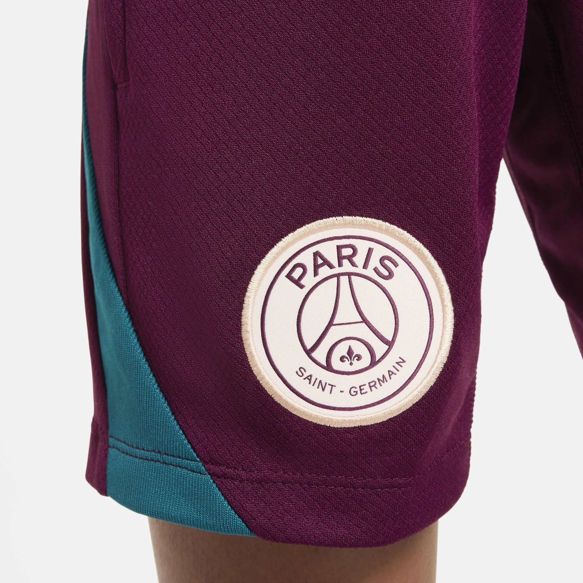 Детски къс панталон Nike PSG Strike Dri-FIT Dri-FIT Football Knit Shorts - FN9954-610 детайл лого PSG