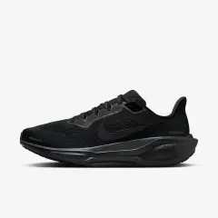 Pegasus 41
