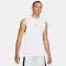 Dri-FIT Sport - 4652