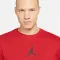 Jumpman Dri-FIT - 4610