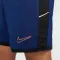 Academy Dri-FIT Football Shorts - 6613