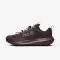 ACG Mountain Fly 2 Low GORE-TEX - 3321