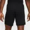 Dri-FIT Academy 25 Shorts - 6584