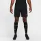 Dri-FIT Academy 25 Shorts - 6582