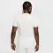 Dri-FIT Academy 25 SS Top BR - 6121