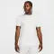 Dri-FIT Academy 25 SS Top BR - 6120