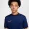 Dri-FIT Academy 25 SS Top BR - 6128