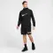 Form Dri-FIT Hooded Jacket - 7533