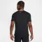 Miler Flash Dri-FIT UV Short-Sleeve Running Top - 4960