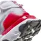 React Vision SI (GS) - 4490