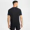 Stride Dri-FIT ADV Short-Sleeve Running Top - 6264