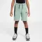 Tech Fleece Shorts - 4919
