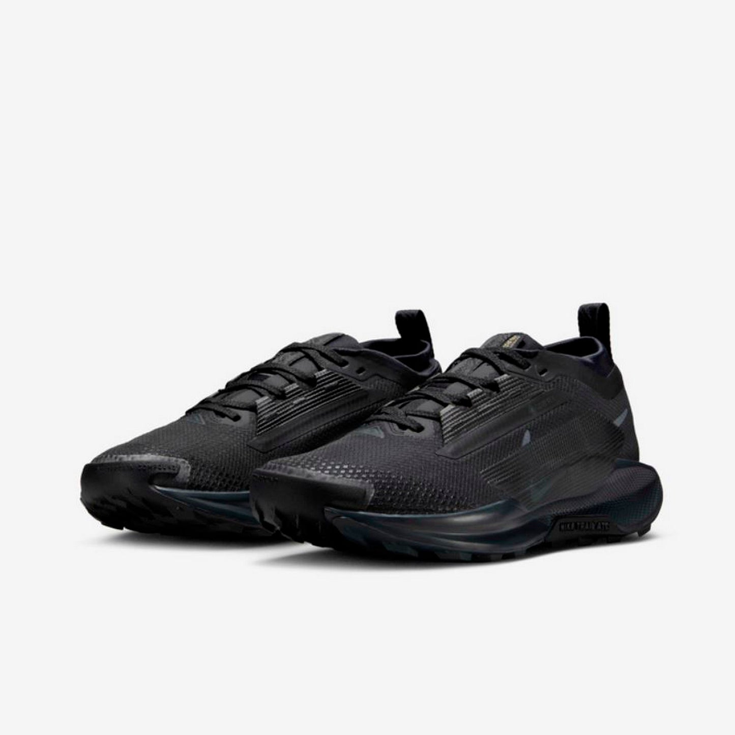 Дамски маратонки Nike Pegasus Trail 5 GORE - TEX - Airhouse