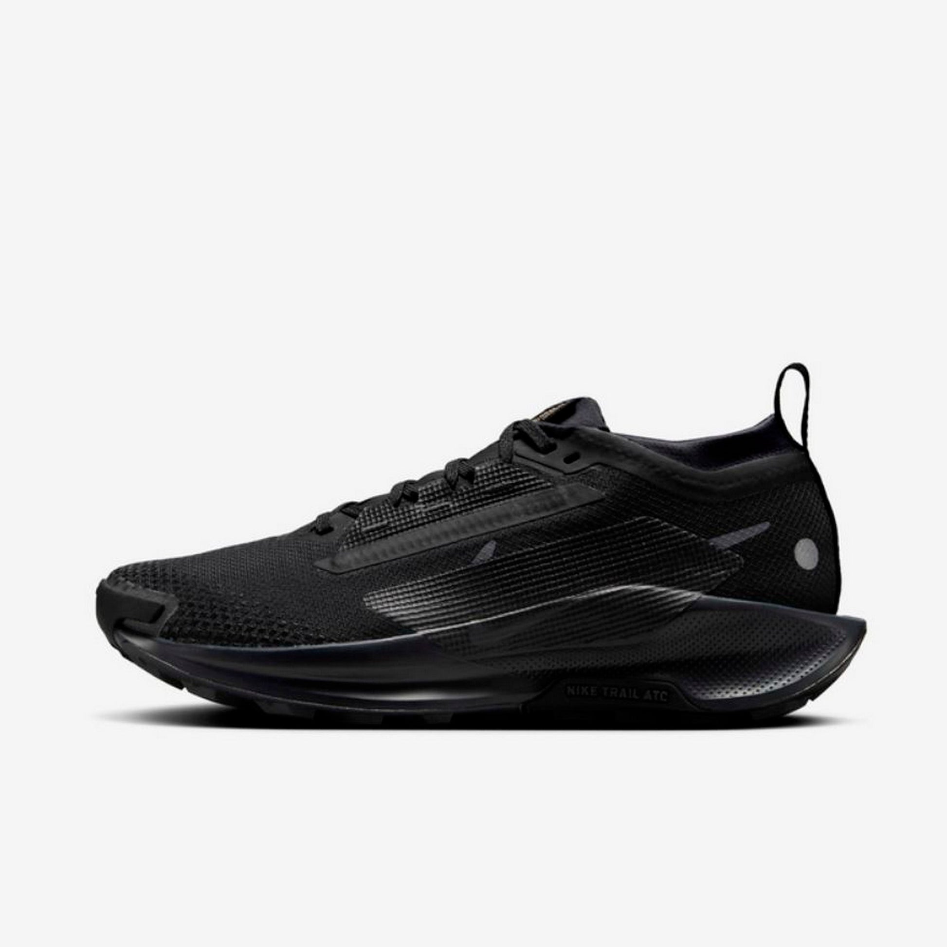 Дамски маратонки Nike Pegasus Trail 5 GORE - TEX - Airhouse