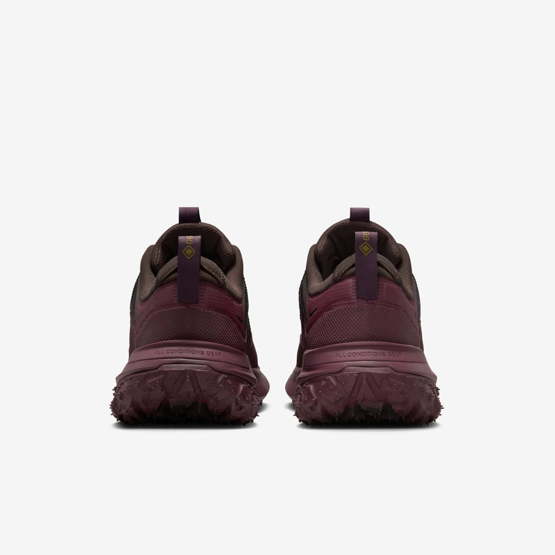 Мъжки маратонки Nike ACG Mountain Fly 2 Low GORE - TEX - Airhouse