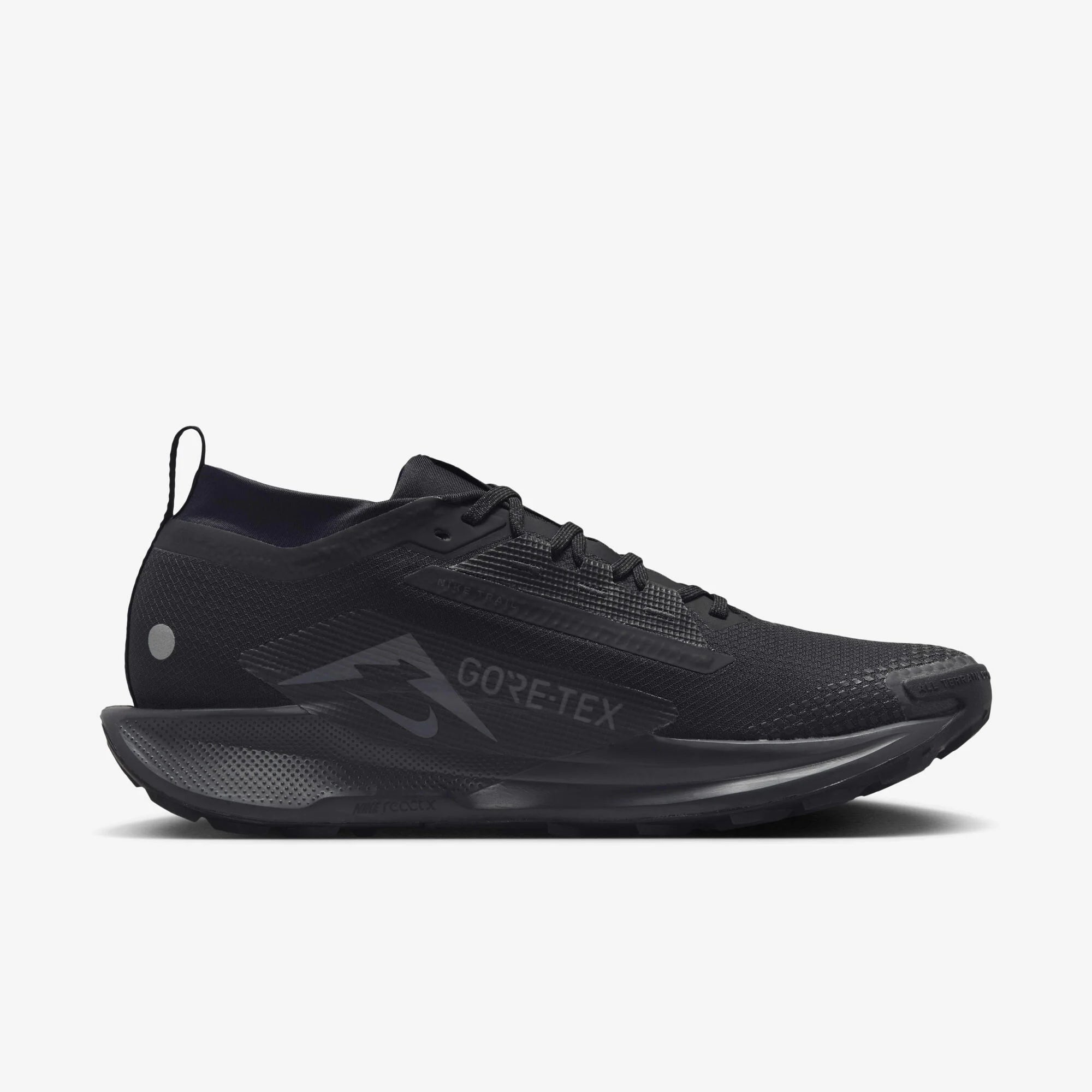 Мъжки маратонки Nike Pegasus Trail 5 GORE - TEX - Airhouse